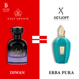 Diwan Dupe Erba pure