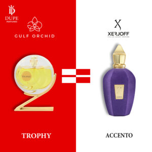 Trophy Dupe Accento