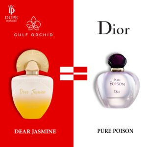 Dear Jasmine Dupe Pure Poison