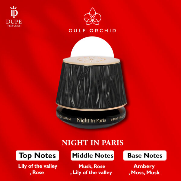 NIGHT IN PARIS