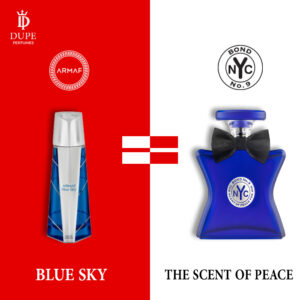 ARMAF BLUE SKY 105ML EDP DUPE The Scent of Peace for Him