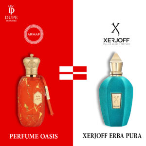 ARMAF ETER PERFUME OASIS 100ML EDP DUPE Xerjoff Erba Pura