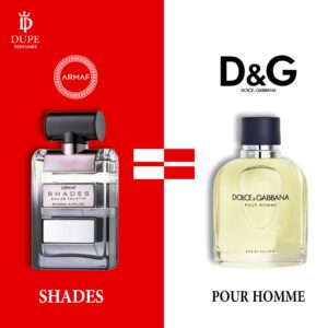 ARMAF SHADES EDP 100ML DUPE Dolce & Gabbana Pour Homme